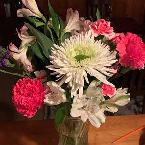 Meet your Posher, Sylvia